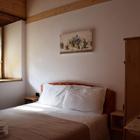 La Tana Del Tasso Rooms&Breakfast Camerata Cornello 외부 사진
