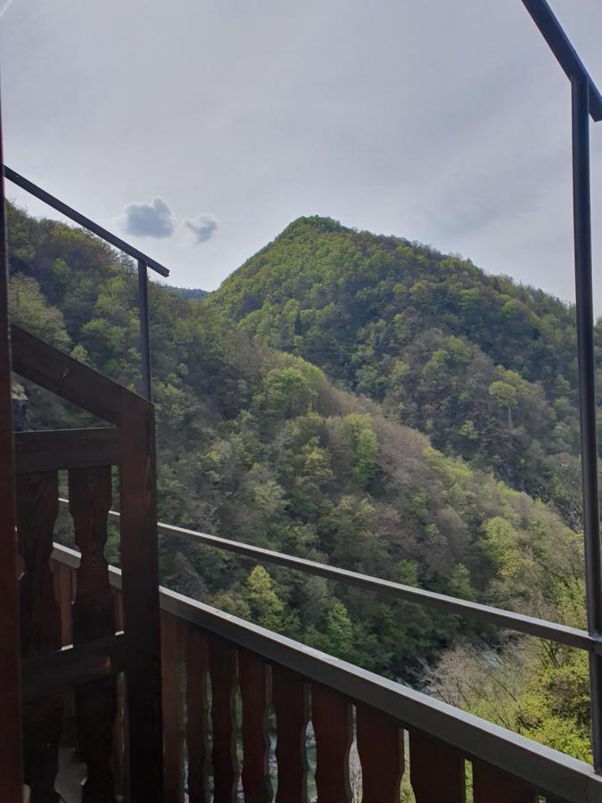 La Tana Del Tasso Rooms&Breakfast Camerata Cornello 외부 사진