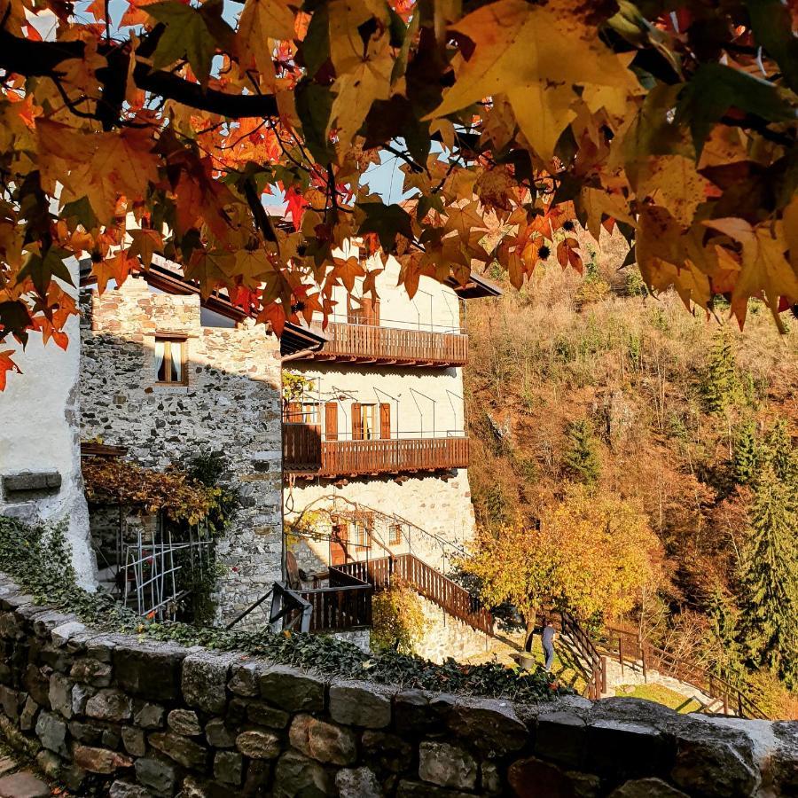 La Tana Del Tasso Rooms&Breakfast Camerata Cornello 외부 사진