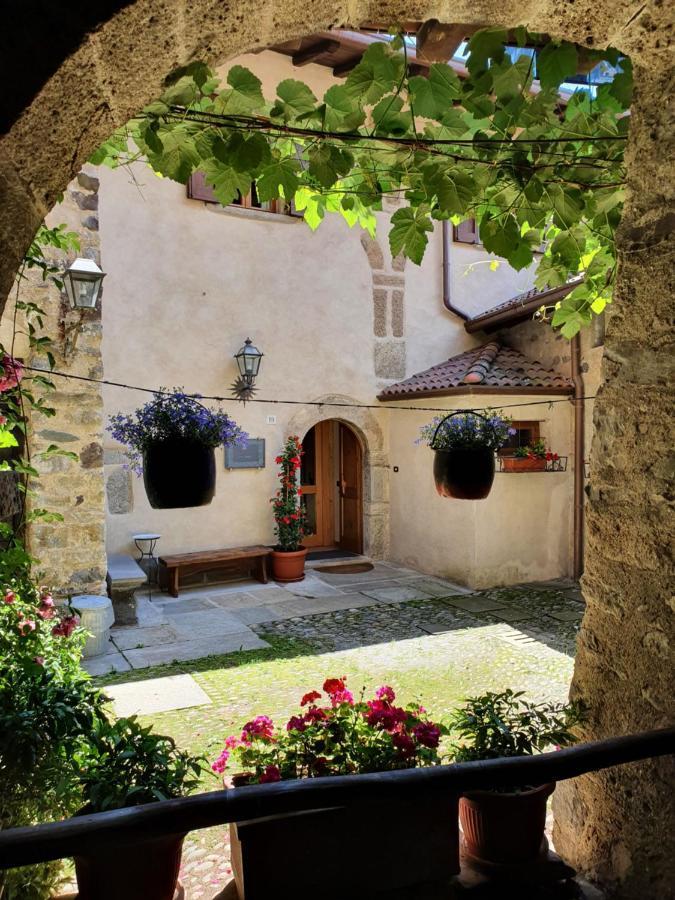 La Tana Del Tasso Rooms&Breakfast Camerata Cornello 외부 사진