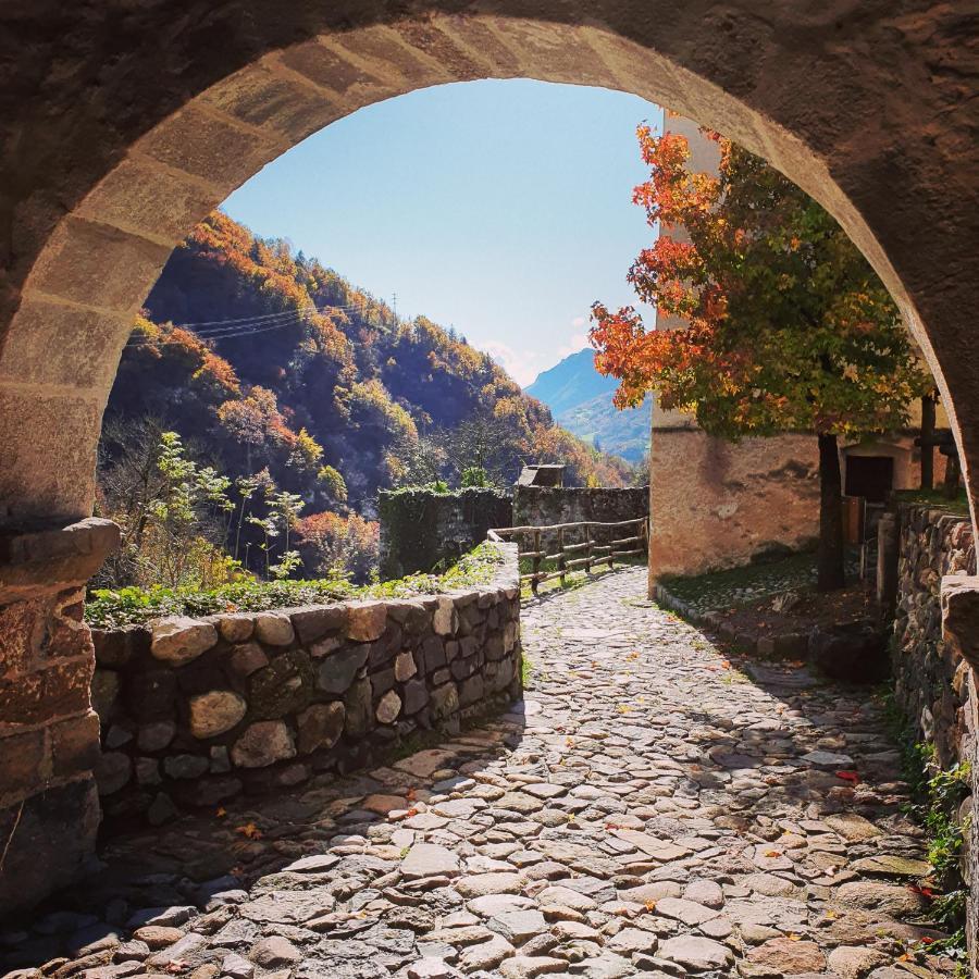 La Tana Del Tasso Rooms&Breakfast Camerata Cornello 외부 사진